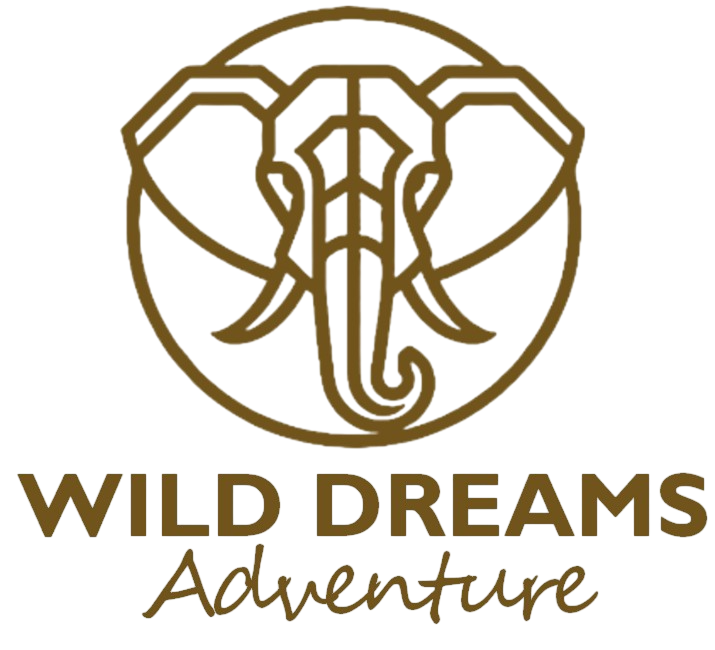 Wild Dreams Adventure